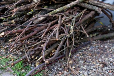 Brush Cleanup Service in Ventura County, CA