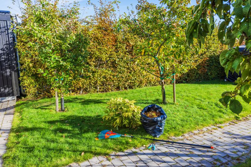 Commercial Leaf Removal in Ventura County, CA