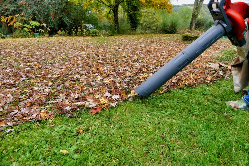 Fall Lawn Cleanup Service in Ventura County, CA