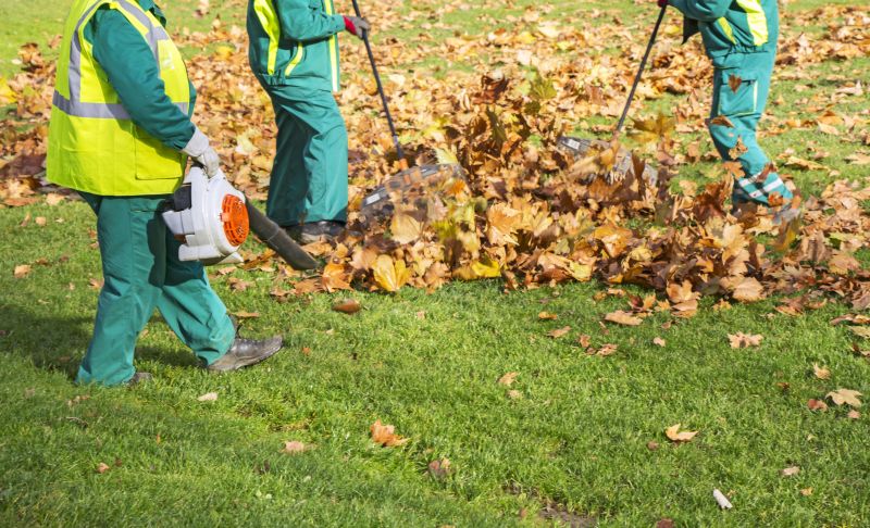Fall Lawn Cleanup Service in Ventura County, CA