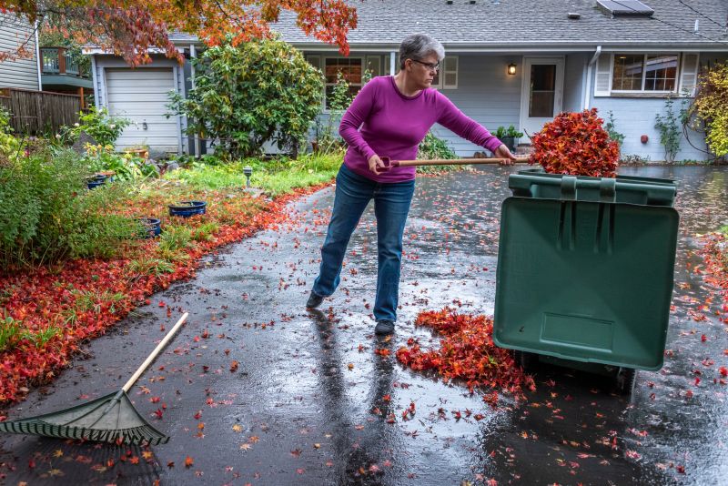 Fall Lawn Cleanup Service in Ventura County, CA