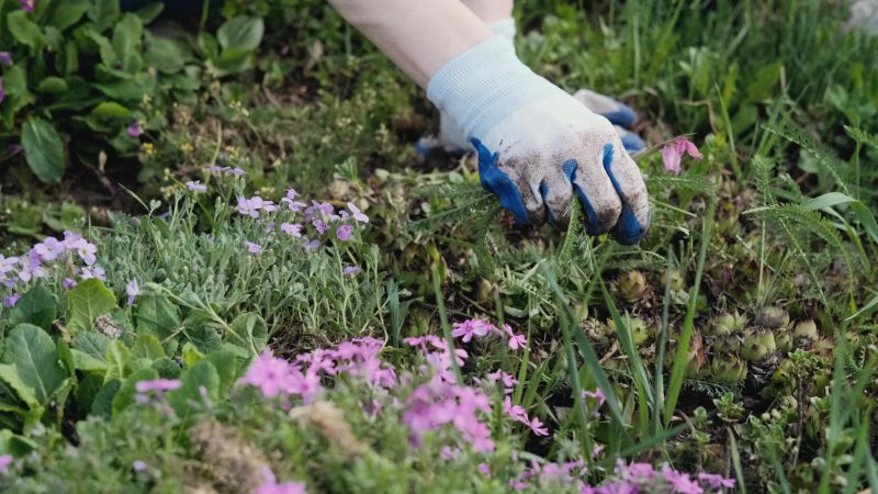 Flower Bed Weeding Service in Ventura County, CA