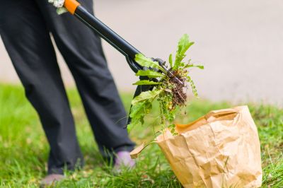 Garden Deweeding in Rockwall, TX