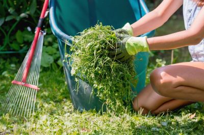 Landscaping Cleanup Service in Ventura County, CA