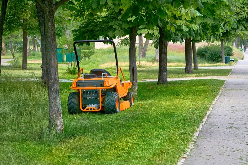 Lawn Cleanup Service in Ventura County, CA