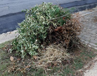 Lawn Debris Cleanup in Ventura County, CA