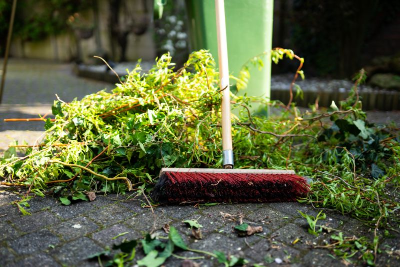 Lawn Debris Cleanup in Ventura County, CA