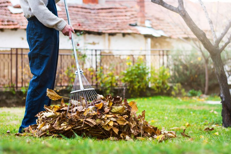 Leaf Cleanup Service in Ventura County, CA