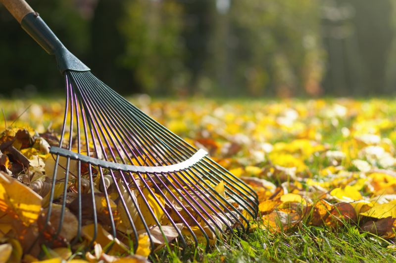 Leaf Raking Service in Ventura County, CA