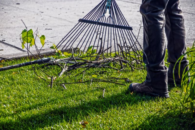 Leaf Raking Service in Ventura County, CA