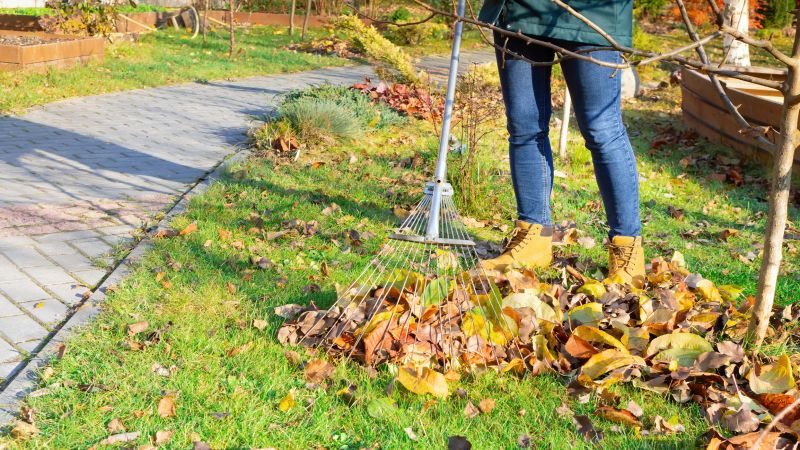 Leaf Raking Service in Ventura County, CA