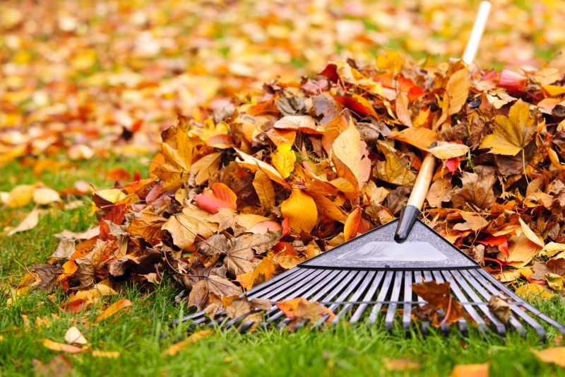 Leaf Raking Service in Ventura County, CA