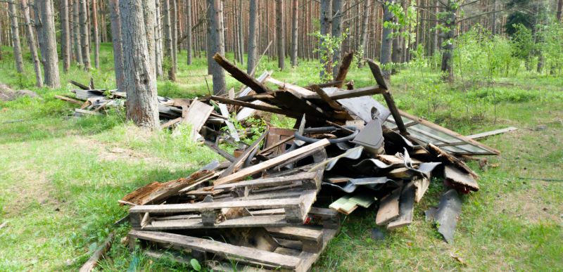Leaf Removal in Ventura County, CA