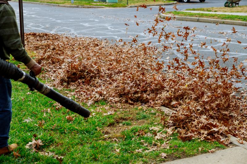 Leaves Vacuuming in Ventura County, CA