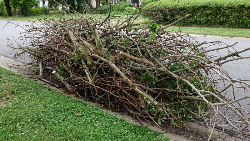 Limbs Removal in Honolulu, HI