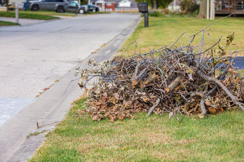 Limbs Removal in Ventura County, CA
