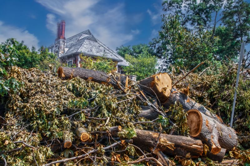 Limbs Removal in Ventura County, CA