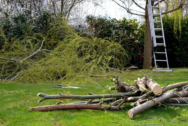 Limbs Removal in Ventura County, CA