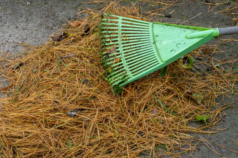 Pine Needles Removal in Ventura County, CA