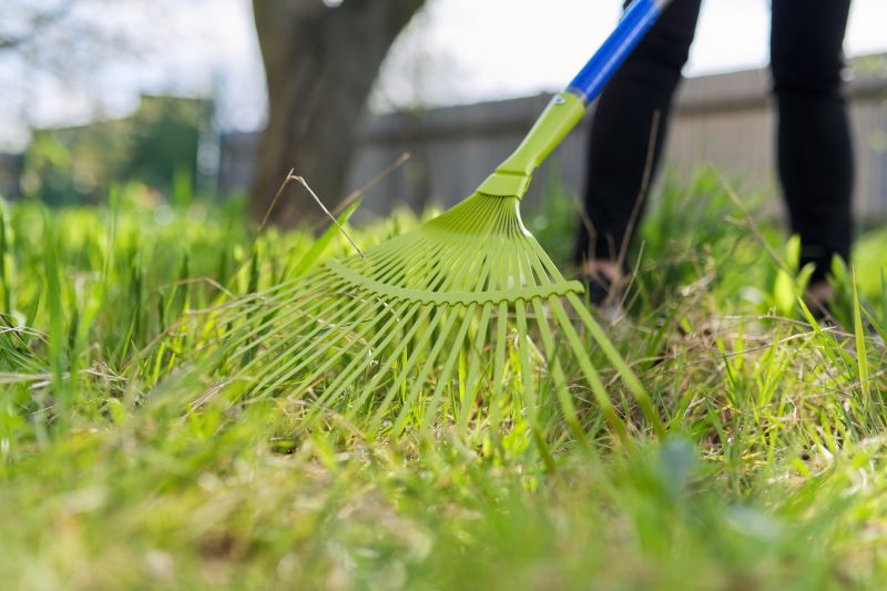 Pine Straw Raking in Ventura County, CA