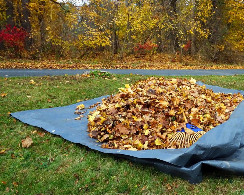 Seasonal Lawn Maintenance in Ventura County, CA