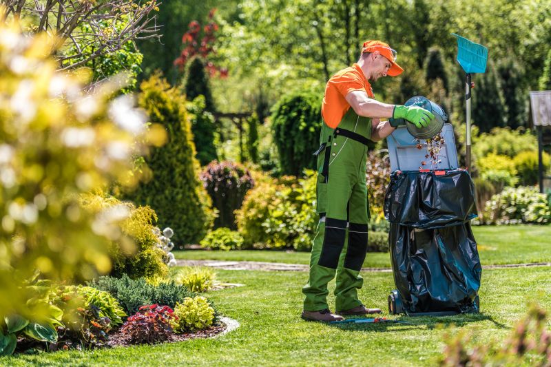 Spring Lawn Cleanup in Ventura County, CA