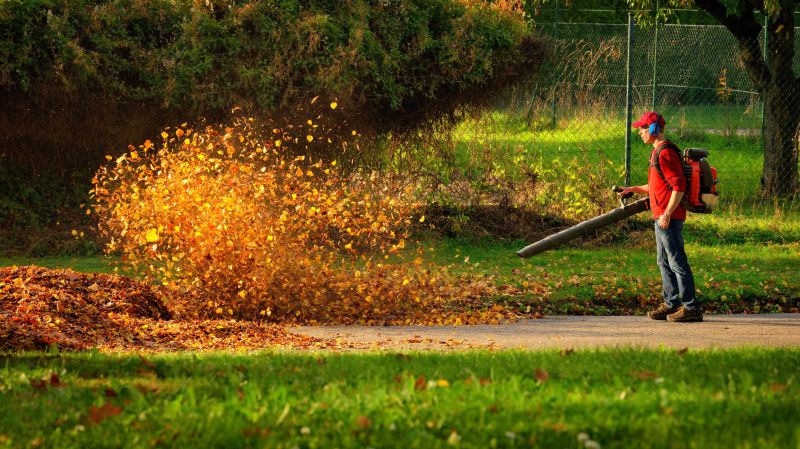 Spring Yard Clean Up Service in Ventura County, CA