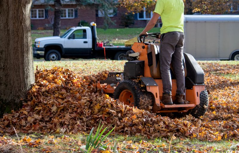 Spring Yard Clean Up Service in Ventura County, CA