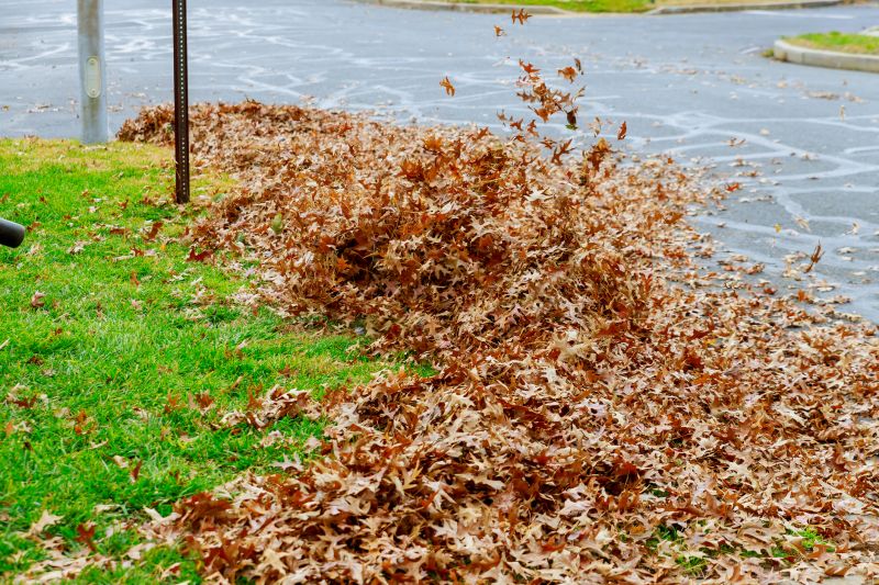 Spring Yard Clean Up Service in Honolulu, HI