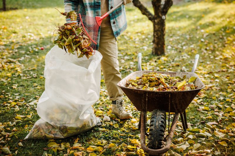 Spring Yard Clean Up Service in Honolulu, HI
