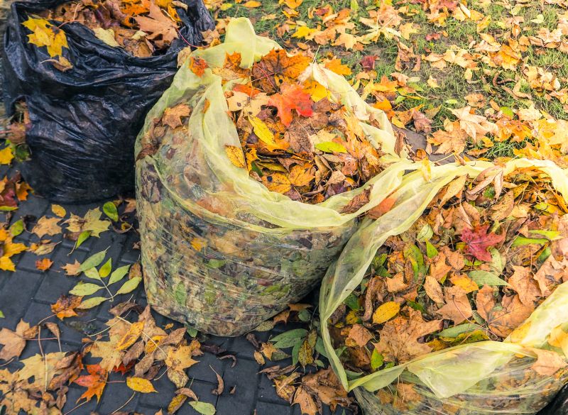 Spring Yard Cleanup in Ventura County, CA