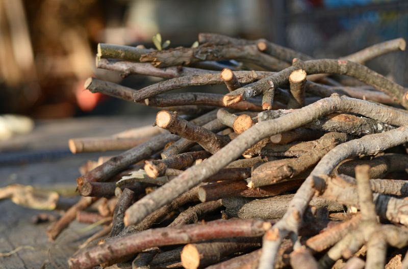 Tree Branch Disposal in Ventura County, CA