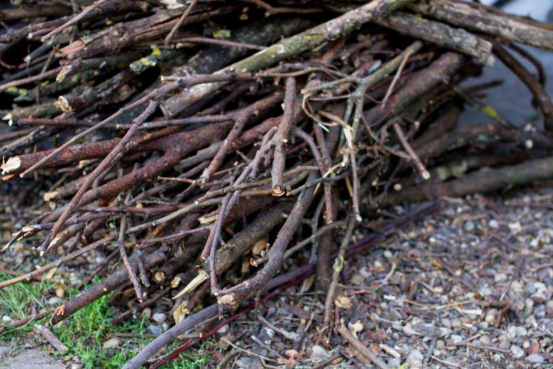 Tree Limb Cleanup in Ventura County, CA