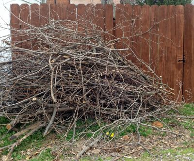 Wood Pile Removal in Ventura County, CA