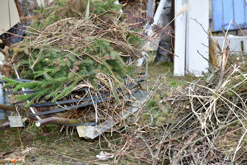 Wood Pile Removal in Ventura County, CA