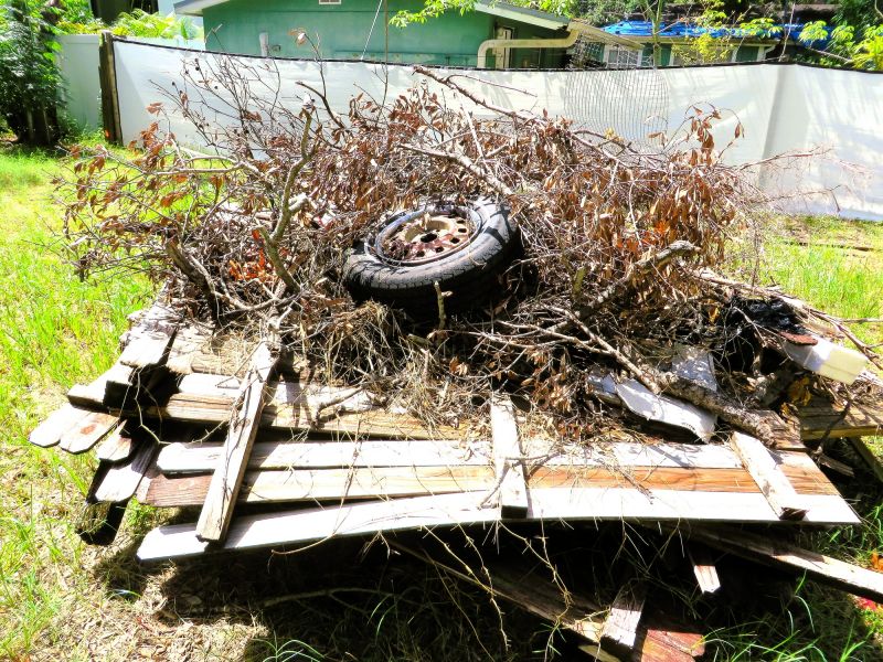 Wood Pile Removal in Ventura County, CA