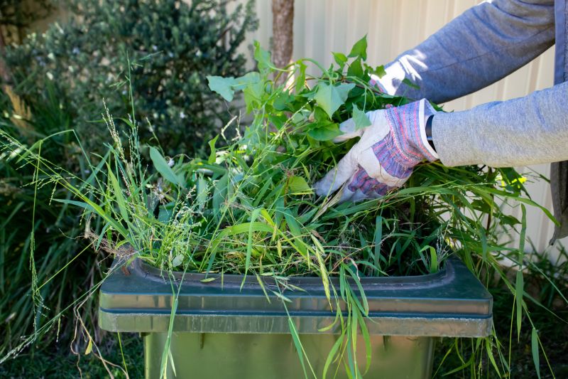 Yard Cleanup Service in Ventura County, CA