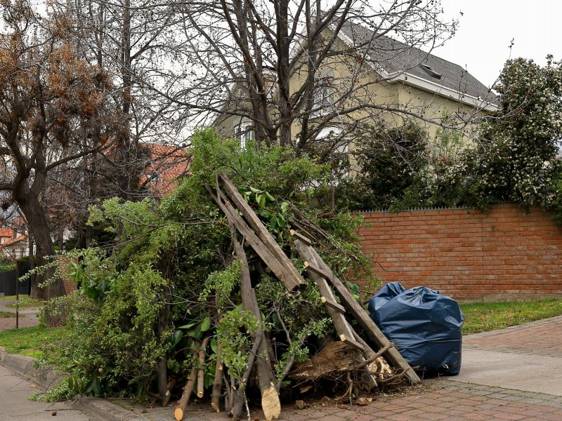 Yard Debris Removal in Ventura County, CA