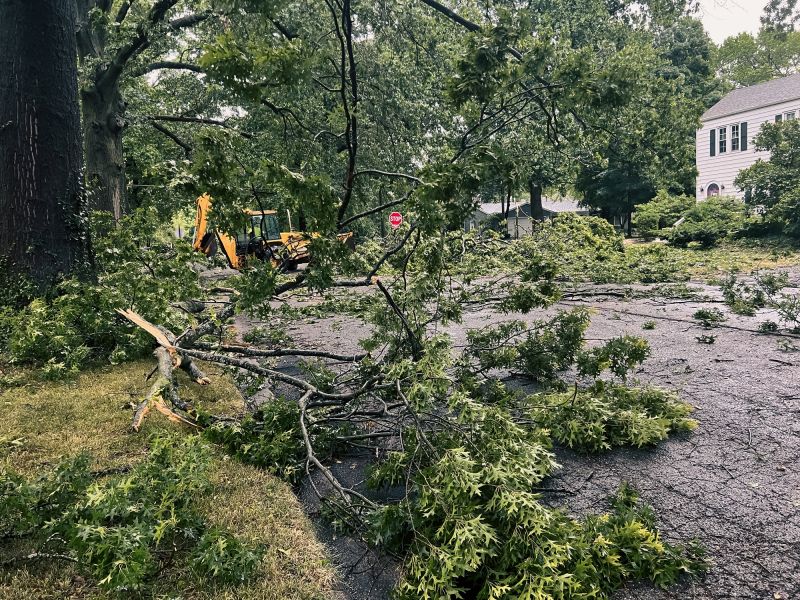 Yard Debris Removal in Ventura County, CA