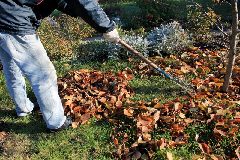 Fall Lawn Cleanup Service in Ventura County, CA